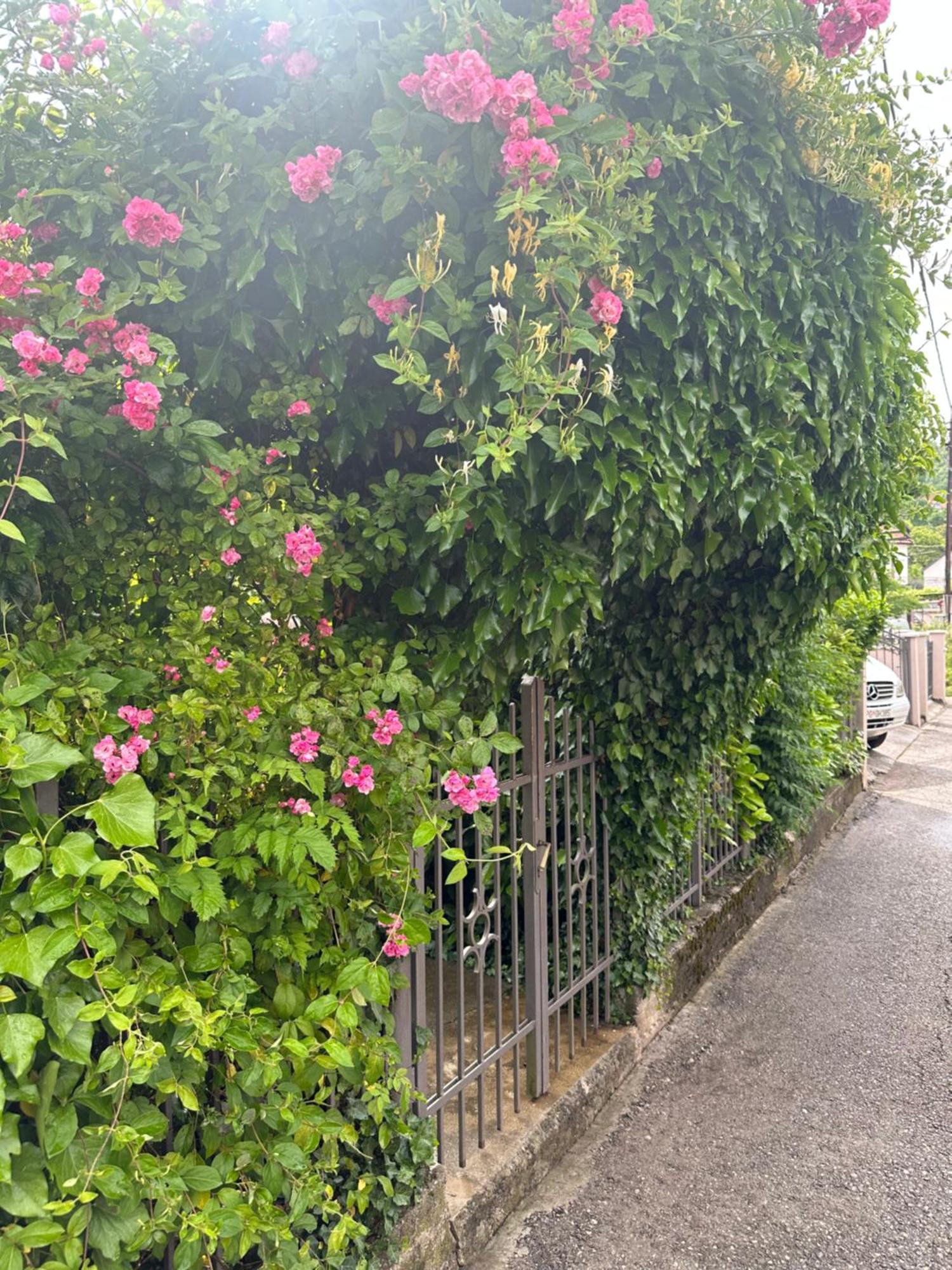 Apartman Lili Cetinje Exterior foto
