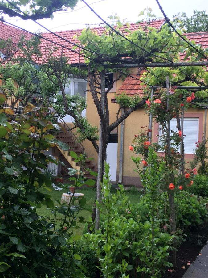 Apartman Lili Cetinje Exterior foto